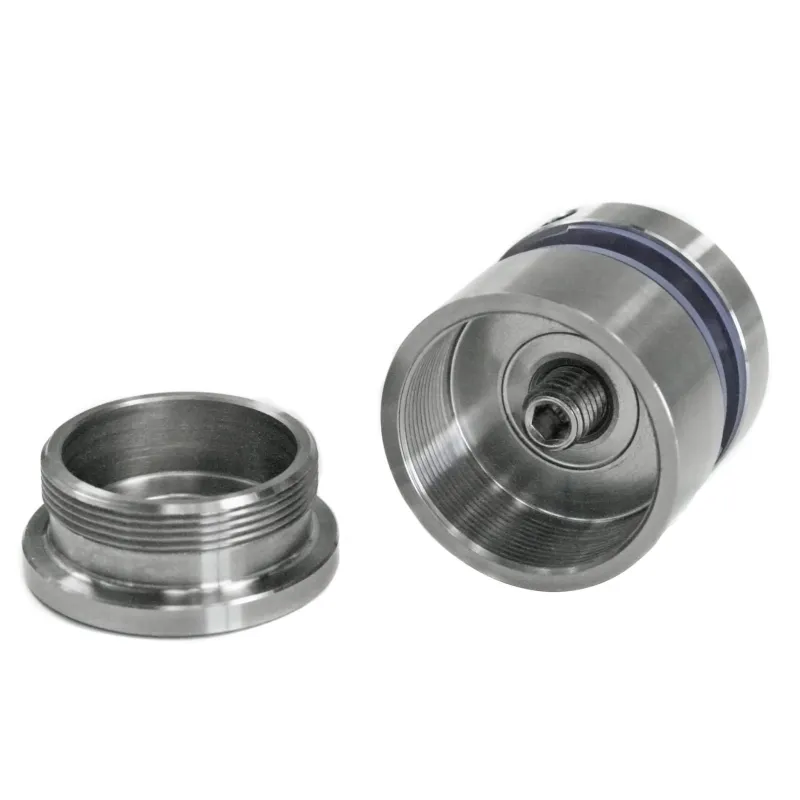 Glass adaptor D35, adjustable, SS, satin-2