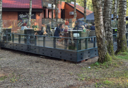 Glass Adaptors in Glass Structures